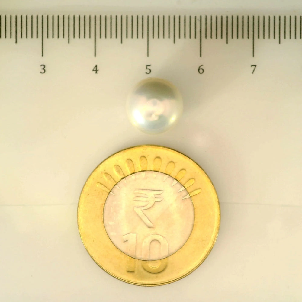 ITLGR_107004_SCALE.webp