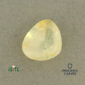 IGITL_200290_TOP.webp