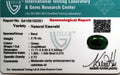 ITLGR_100261_CERTIFICATE.webp