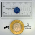 GFCO_33925-28_SCALE.webp