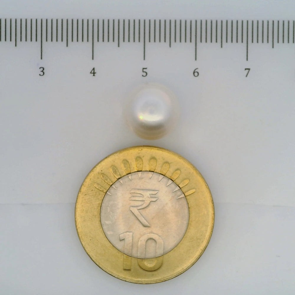 ITLGR_106979_SCALE.webp