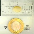 ITLGR_100509_SCALE.webp