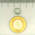 ITLGR_109485_SCALE.webp