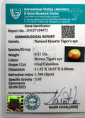 ITLGR_104473_CERTIFICATE.webp