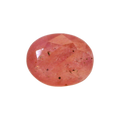 ITLGR_109891_FRONT.png