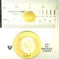 ITLGR_100510_SCALE.webp