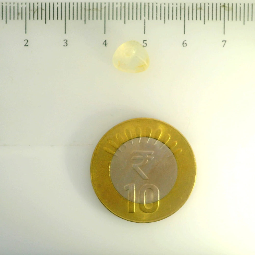 IGITL_200290_SCALE.webp