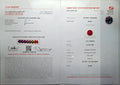 GFCO_39059_38_CERTIFICATE.webp