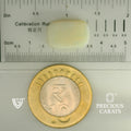 ITLGR_101893_SCALE.webp