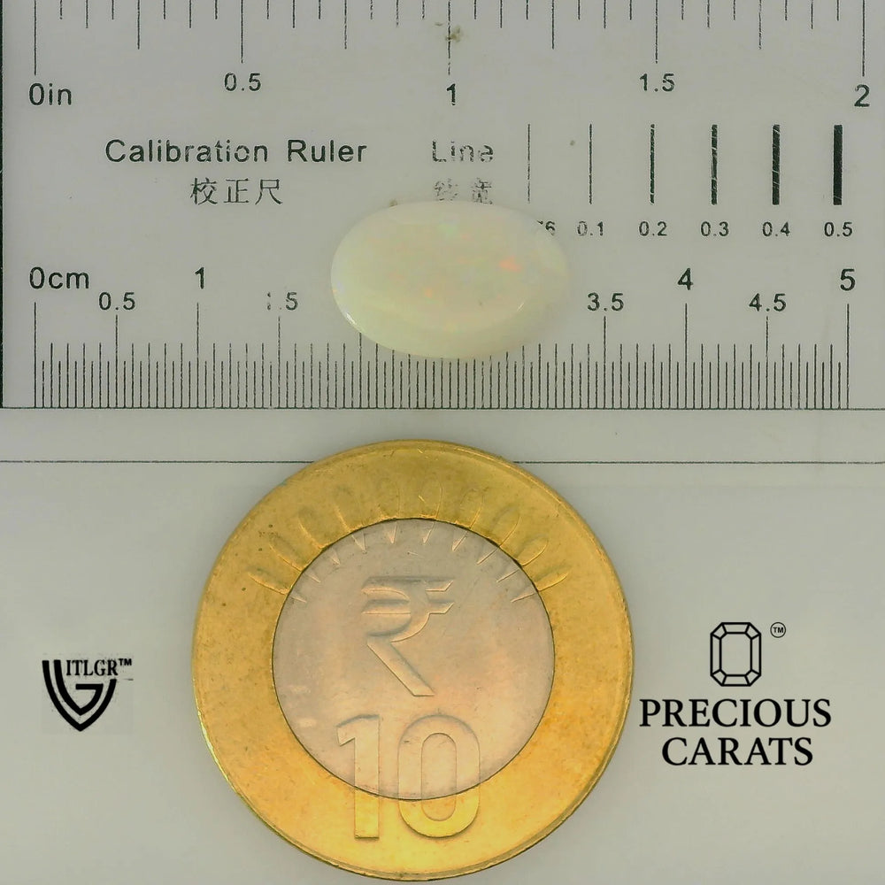 ITLGR_101917_SCALE.webp
