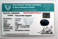 ITLGR_98903_CERTIFICATE.webp