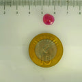 GFCO_39059_36_SCALE.webp