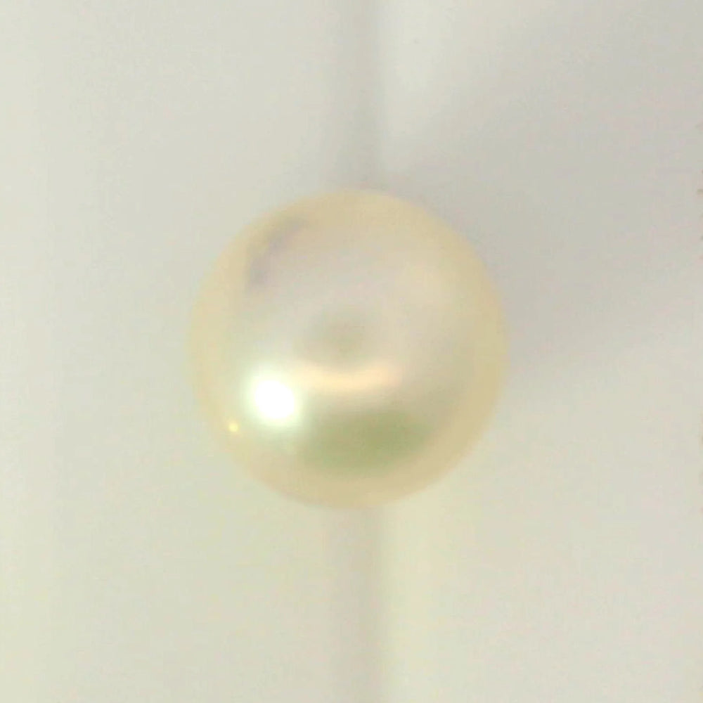 ITLGR_99855_TOP.webp
