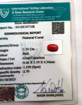 ITLGR_107108_CERTIFICATE.webp