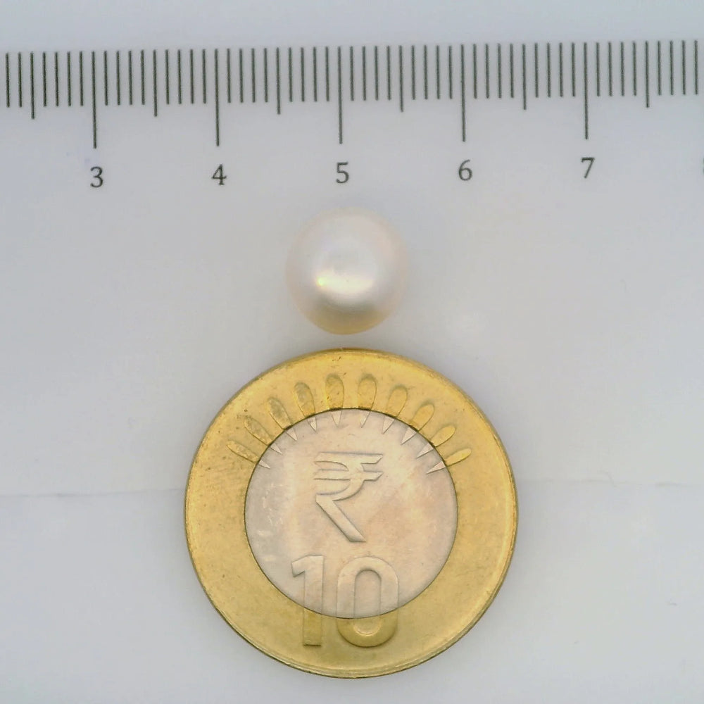 ITLGR_107033_SCALE.webp