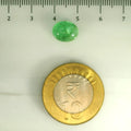 ITLGR_106837_SCALE.webp