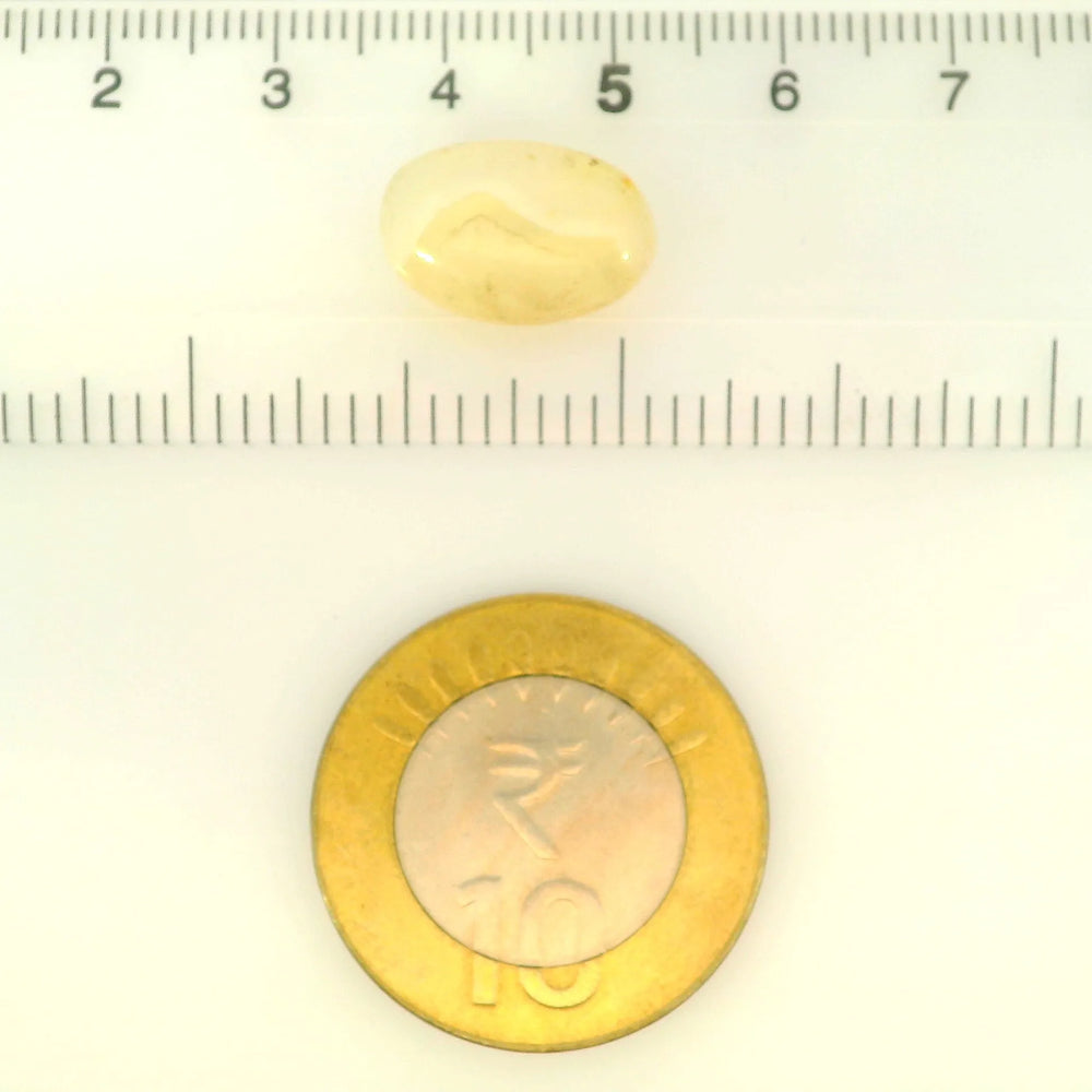 ITLGR_121470_SCALE.webp