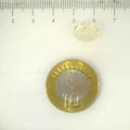 IGITL_205603_SCALE.webp