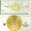 ITLGR_109963_SCALE.webp