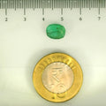 ITLGR_106883_SCALE.webp