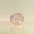 IGITL_197829_FRONT.webp