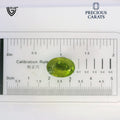 ITLGR_100488_SCALE.webp