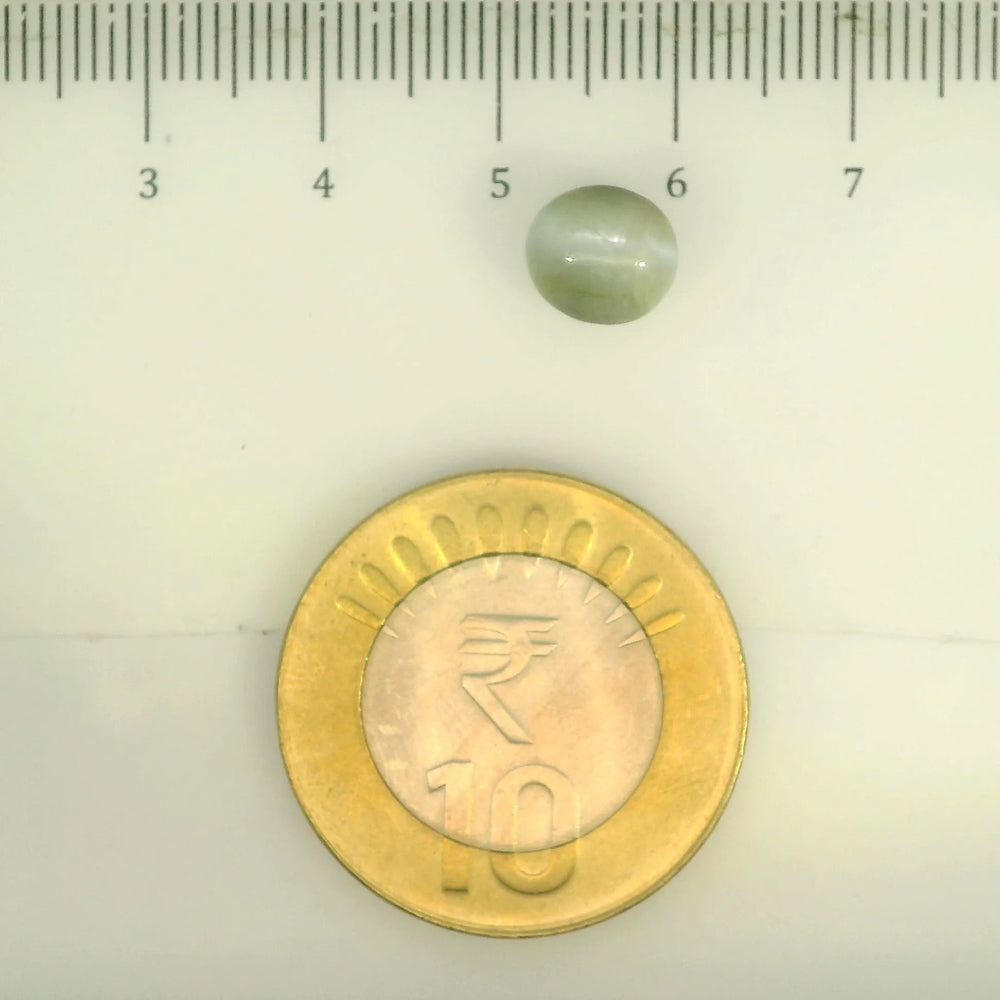ITLGR_109812_SCALE.webp