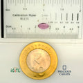IGITL_200222_SCALE.webp