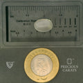 ITLGR_102044_SCALE.webp
