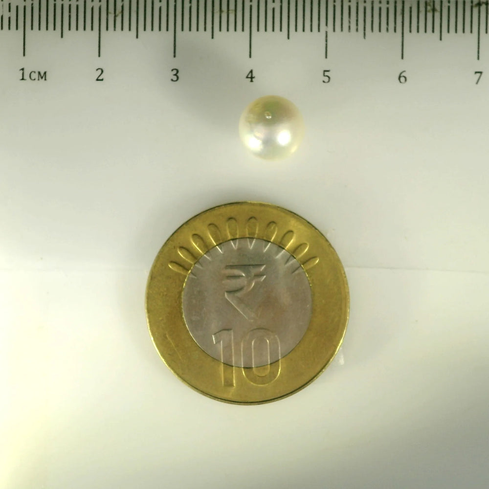 ITLGR_99851_SCALE.webp