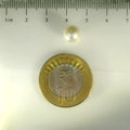 ITLGR_99851_SCALE.webp