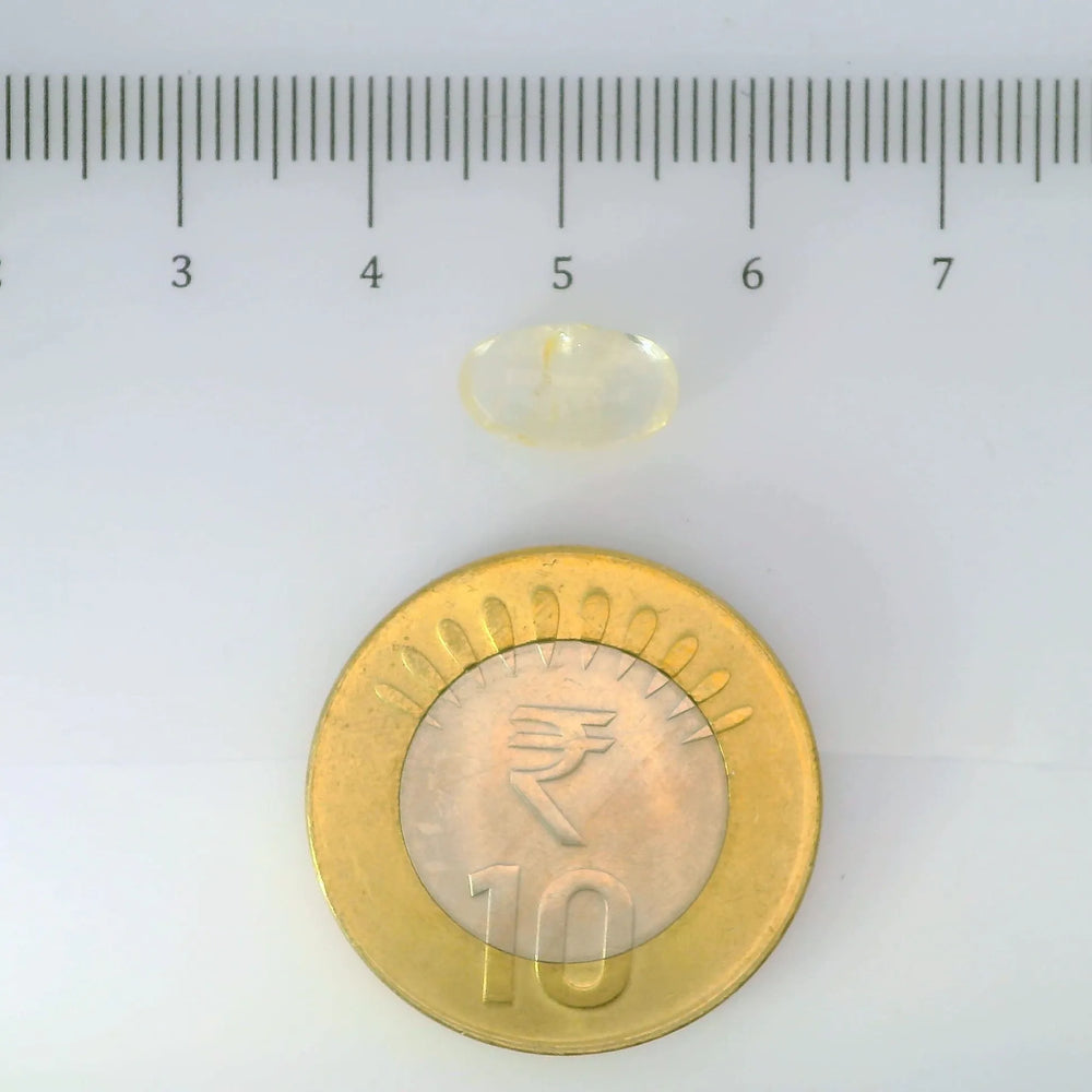 IGITL_200272_SCALE.webp