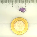 ITLGR_109451_SCALE.webp
