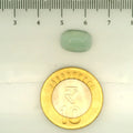 ITLGR_109500_SCALE.webp