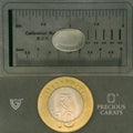 ITLGR_102060_SCALE.webp