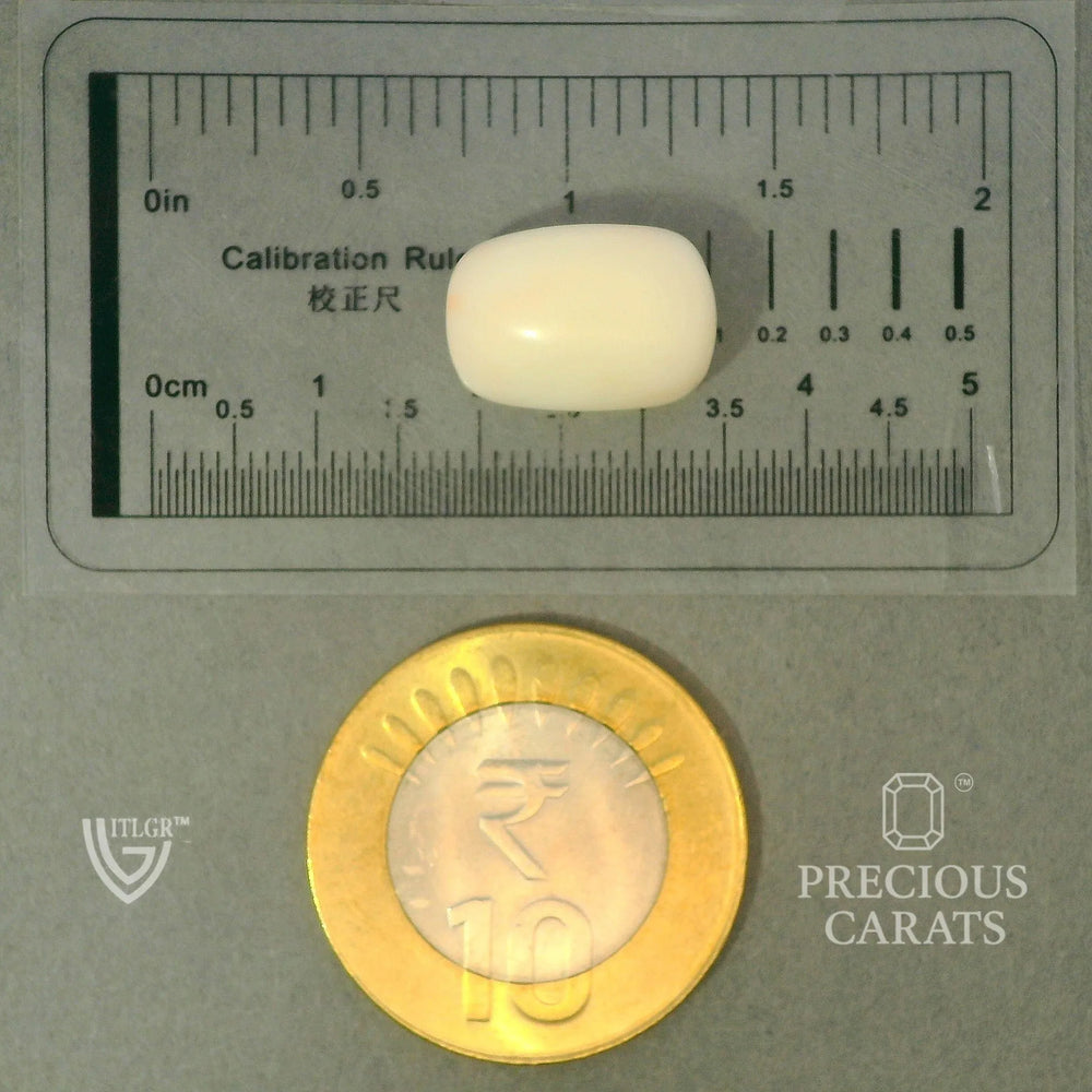 ITLGR_102026_SCALE.webp