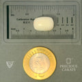 ITLGR_102026_SCALE.webp