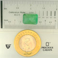 ITLGR_102112_SCALE.webp
