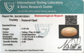 ITLGR_100541_CERTIFICATE.webp