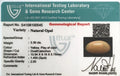 ITLGR_100545_CERTIFICATE.webp