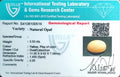 ITLGR_100516_CERTIFICATE.webp