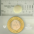 ITLGR_101871_SCALE.webp