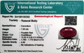 ITLGR_100292_CERTIFICATE.webp