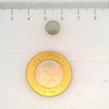 ITLGR_109825_SCALE.webp