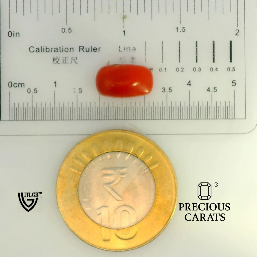 ITLGR_104526_SCALE.webp