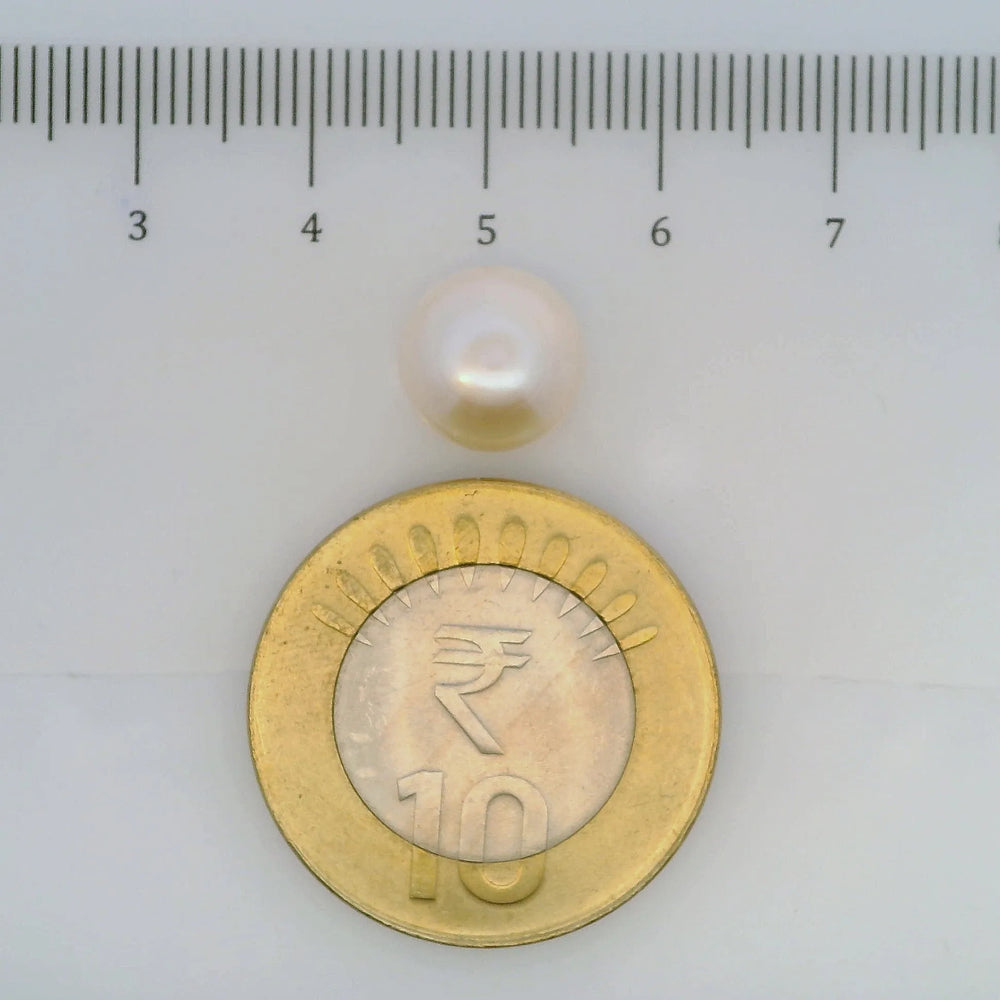 ITLGR_106968_SCALE.webp