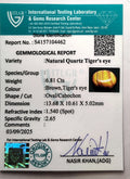 ITLGR_104462_CERTIFICATE.webp