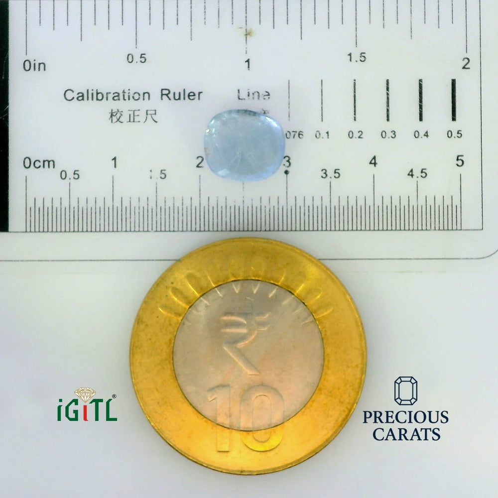 IGITL_197781_SCALE.webp