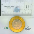 IGITL_197781_SCALE.webp