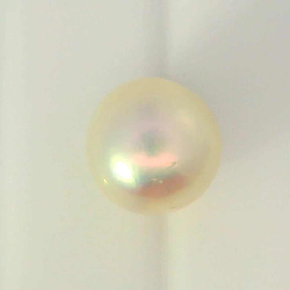 ITLGR_99856_TOP.webp